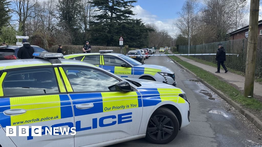 Boy charged over stabbing of teen girl at school near Norwich
