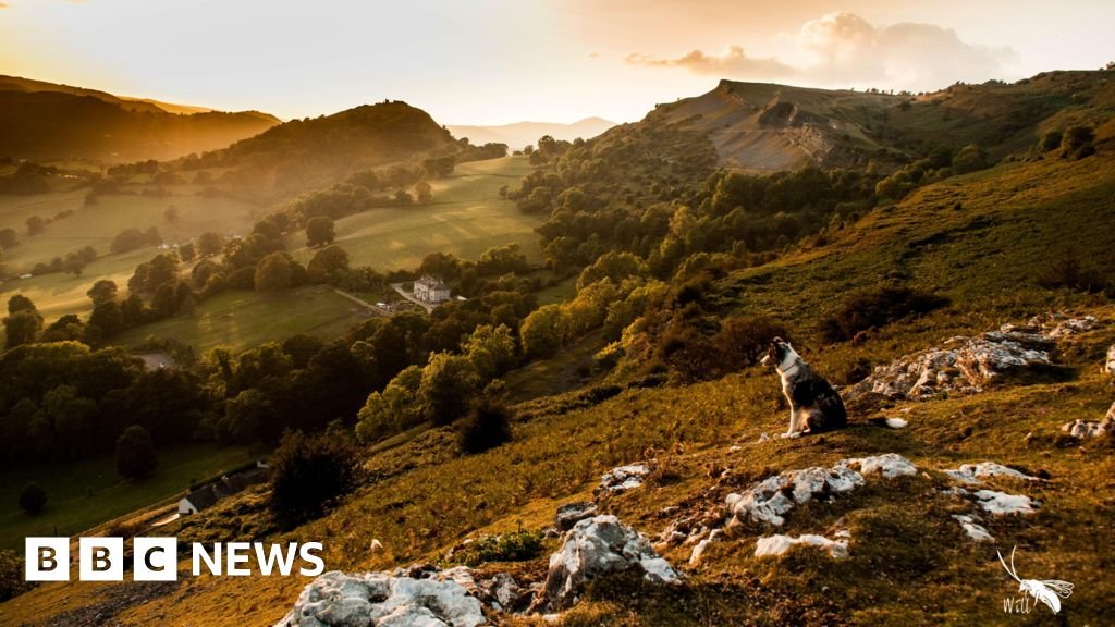 Plans for UK’s newest national park head to public enquiry