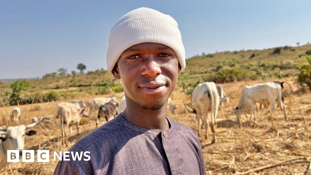 Nigeria’s herder-farmer conflict: Deadly mix of religion, cattle and land in Plateau state