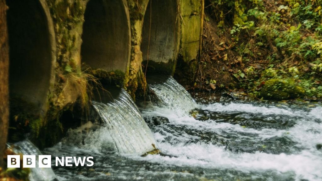 Welsh Water Dwr Cymru to pay £44.7m after sewage failures
