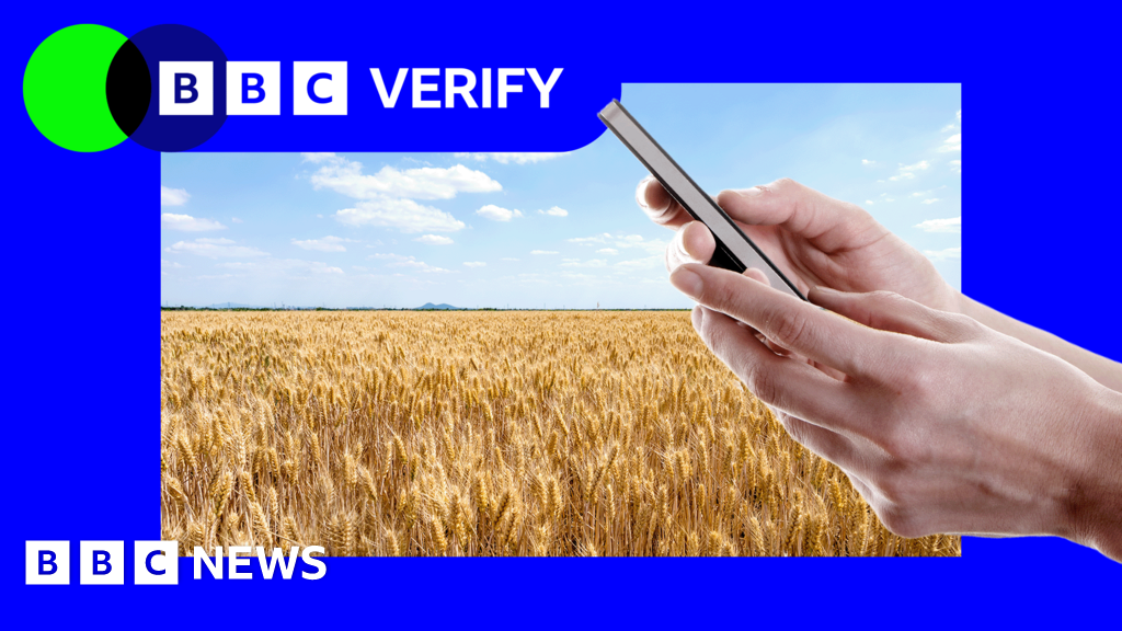 Strait of Hormuz: How closure could affect food, medicines and smartphones