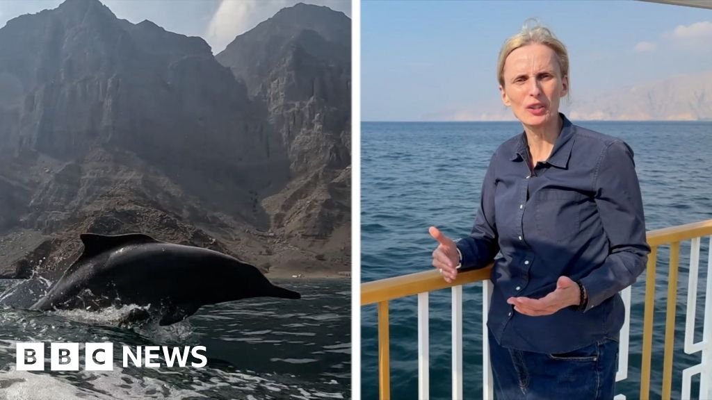 ‘We are at the edge of a battlefield’: BBC reports near Strait of Hormuz