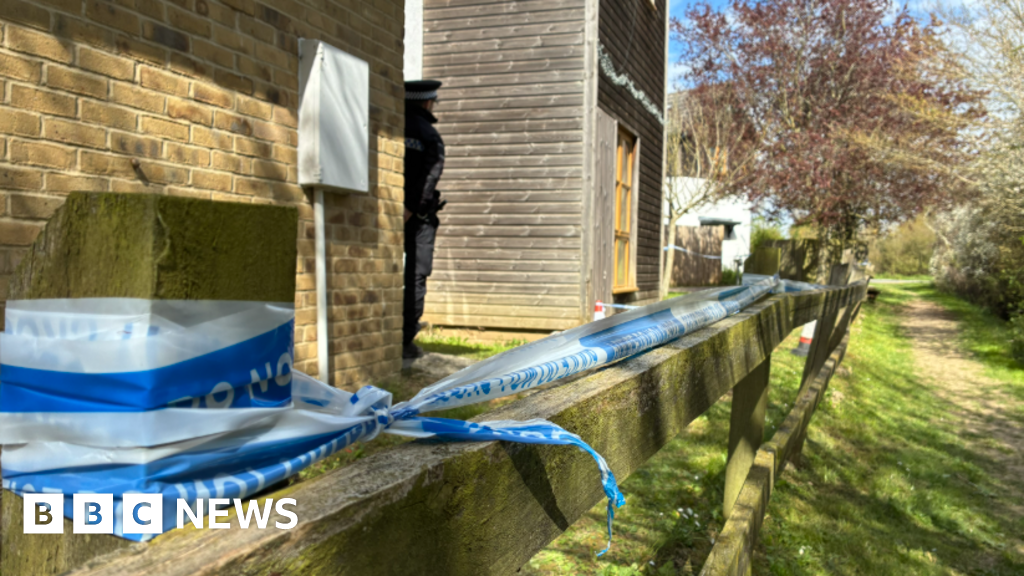 Woman, 19, killed in dog attack at house near Dunmow