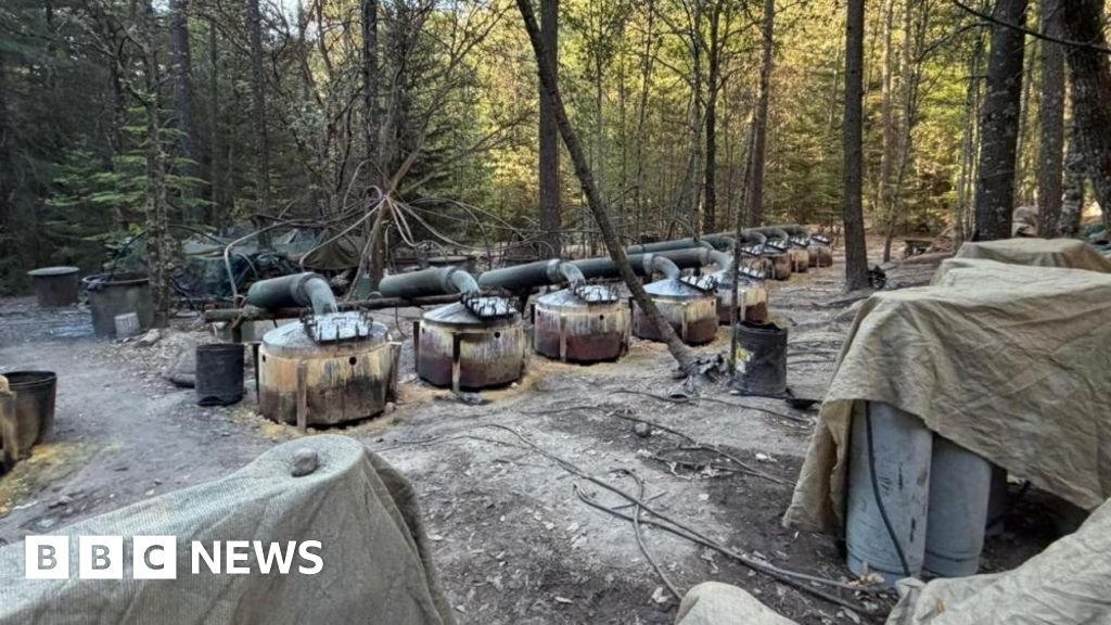 Role of US officials killed in Mexico crash under scrutiny