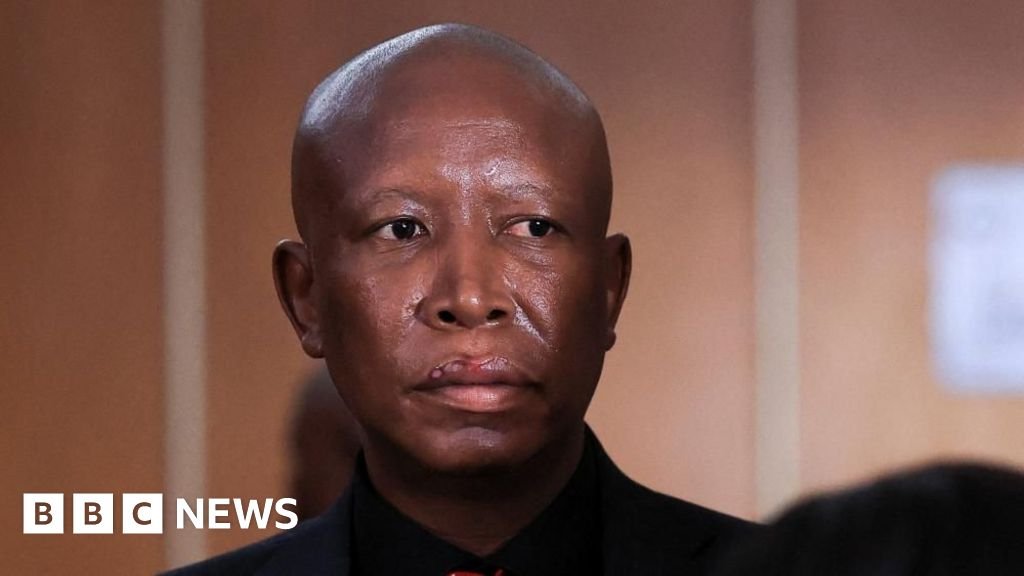 Julius Malema: South African opposition figure sentenced to five years