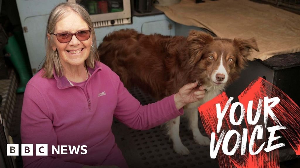 I was left with an £8,000 vet bill when my insurer cancelled my pet policy