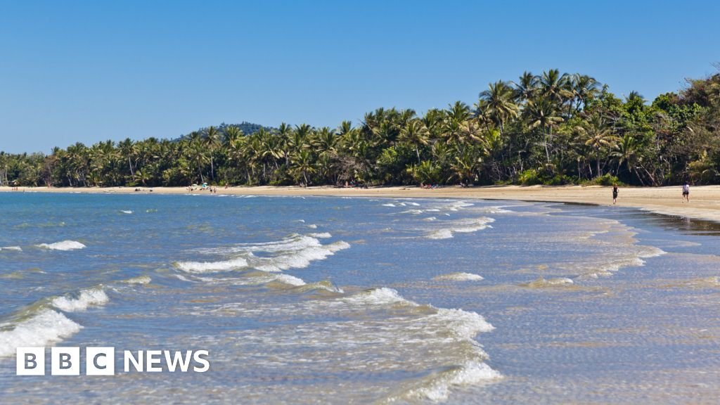 Man killed in shark attack off Australia’s north-east coast