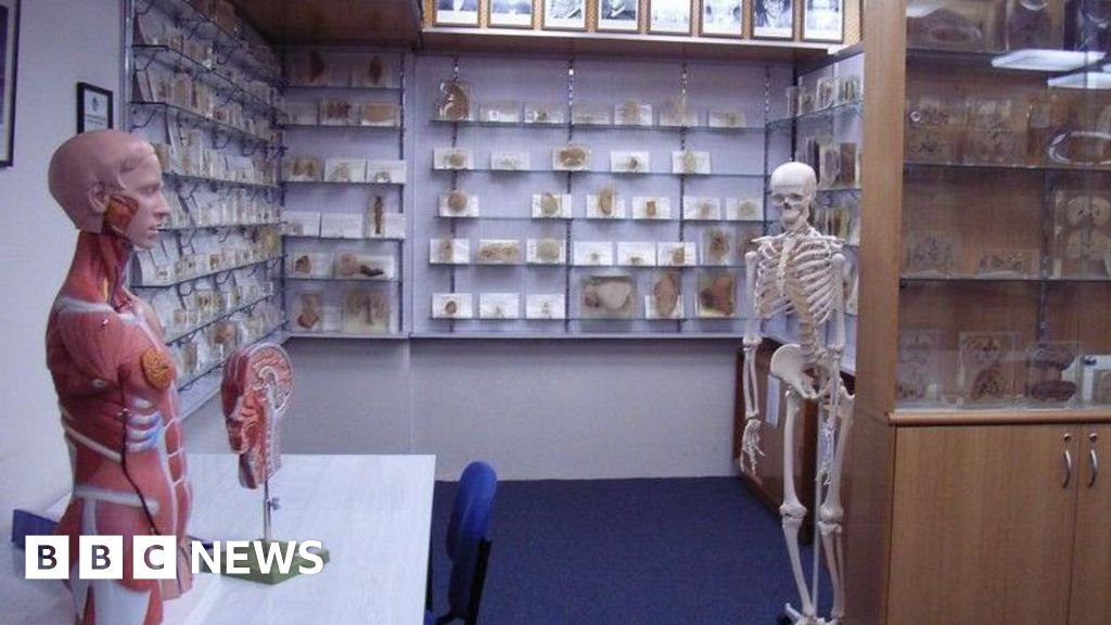 Tasmanian government apologises over decades-old stolen body parts scandal