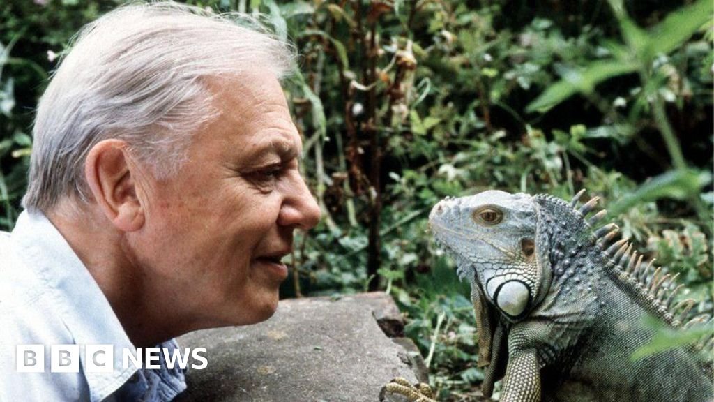 David Attenborough says he is ‘overwhelmed’ by 100th birthday messages