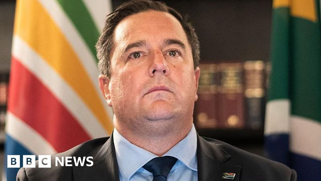 John Steenhuisen: Geordin Hill-Lewis wants former DA leader sacked from South African cabinet