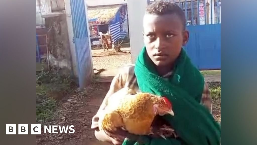 Ethiopian boy, 12, wins hearts after trying to check sick chicken into hospital