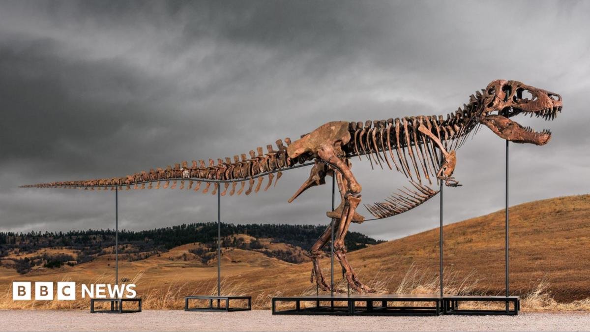 Tyrannosaurus Rex most expensive dinosaur ever sold