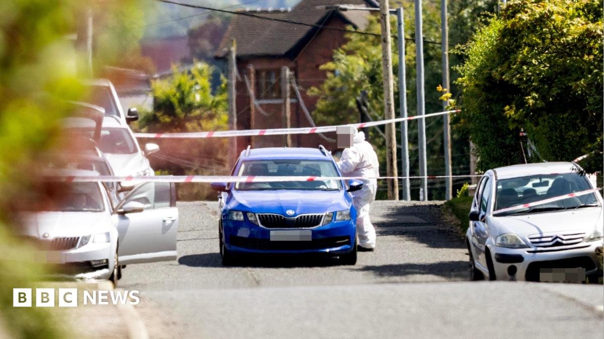 Ballymena: Three people found dead in house