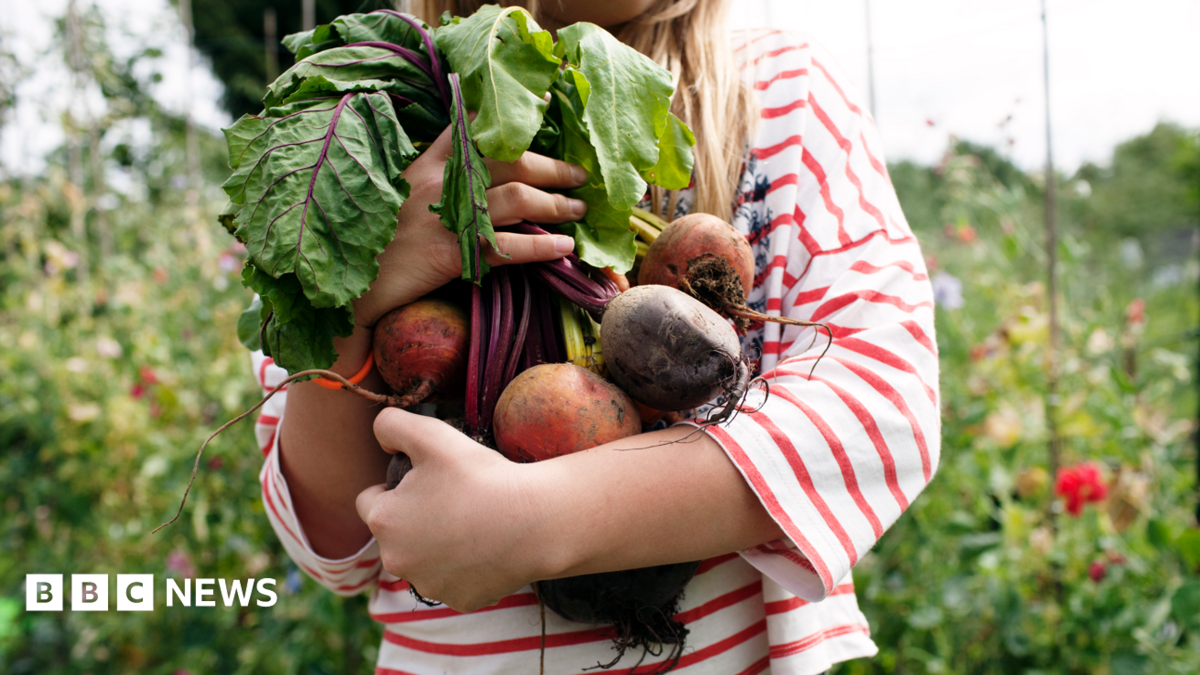 Call for London-wide right to grow food on unused public land